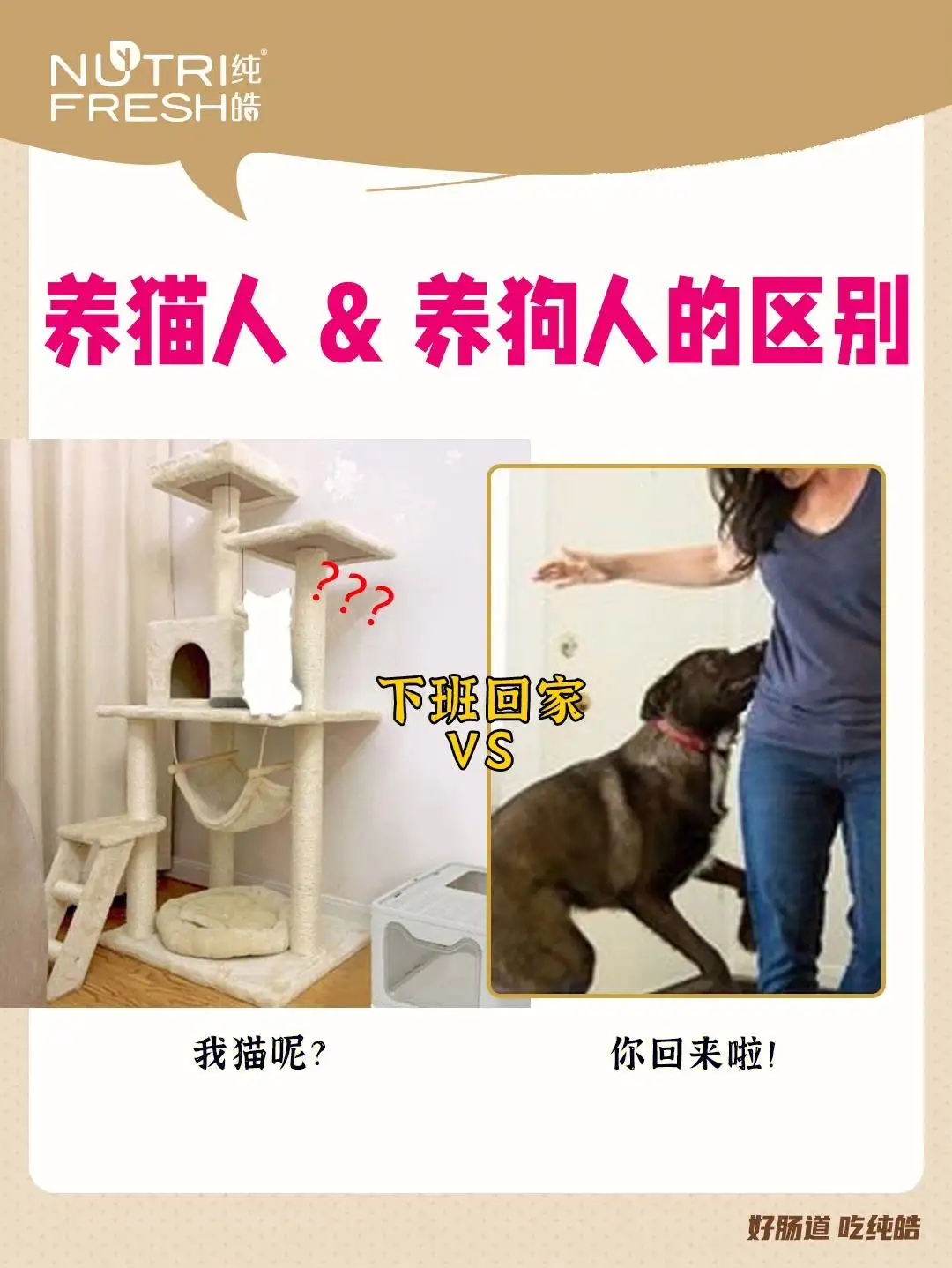 养猫还是养狗好一点(养猫还是养狗好一点 投票)