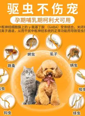 猫体外驱虫多久体内驱虫(猫体外驱虫多久体内驱虫一次)