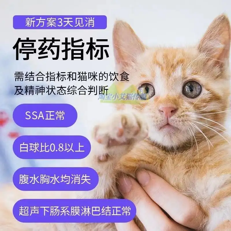 猫病传腹可以治疗吗(猫得了猫传腹能治好吗)