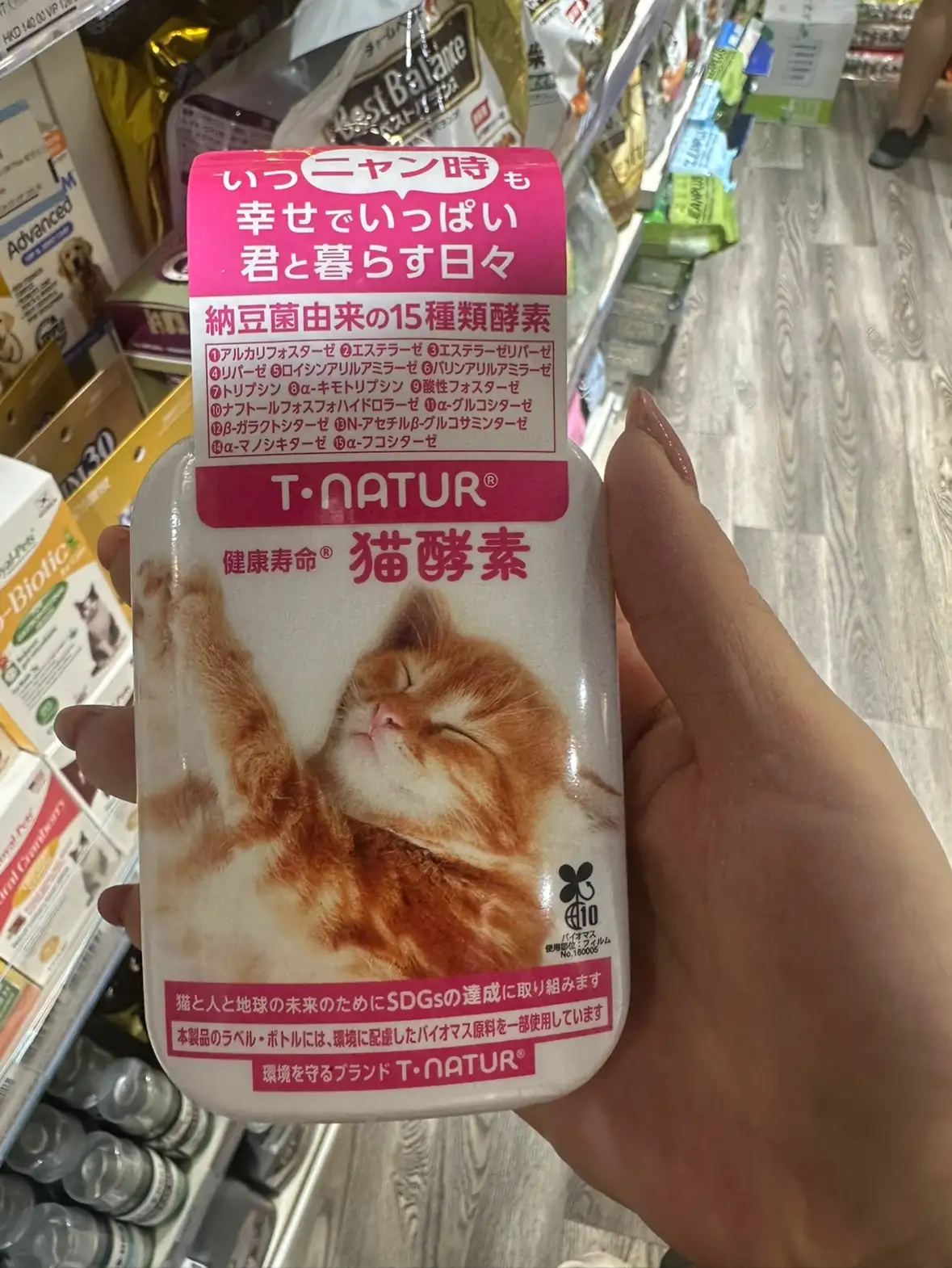 猫多久寿命(猫猫多久寿命)