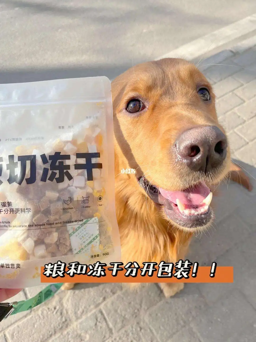 老犬吃什么狗粮好(萨摩耶吃什么牌子的狗粮好)