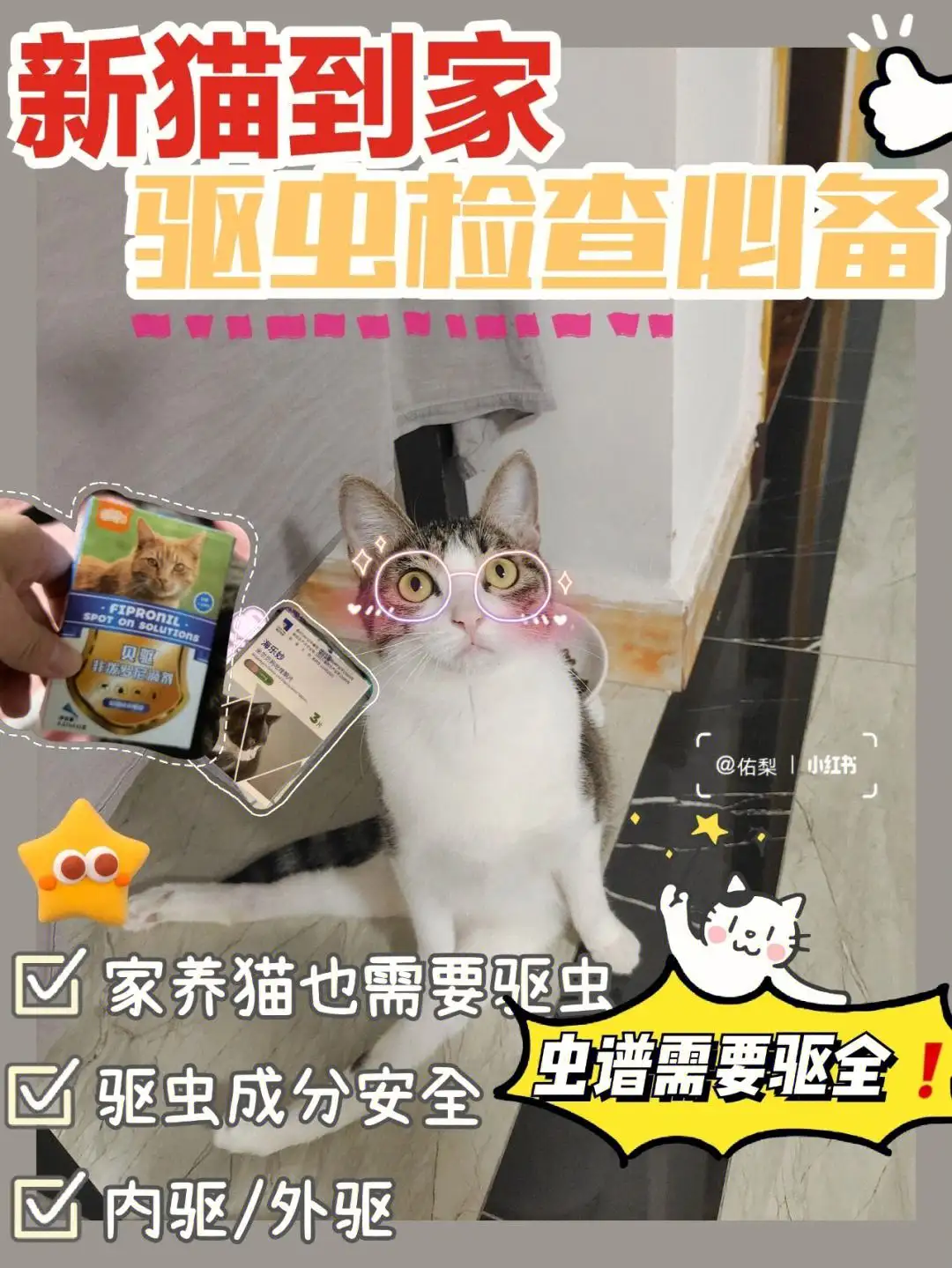 猫咪体内驱虫后拉稀(猫咪体内驱虫拉稀正常吗)