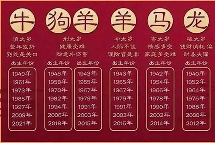 94年的狗多大(94年的狗多大了)