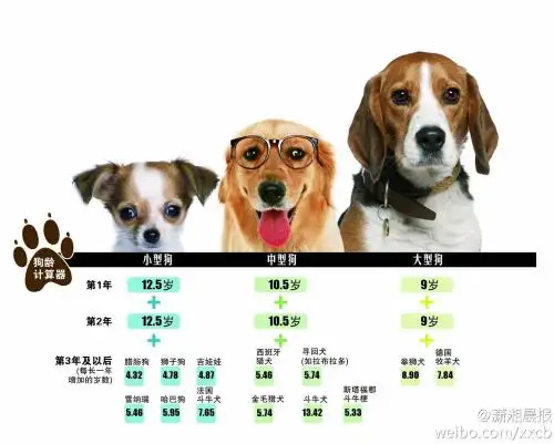 狗活一年多少岁(狗狗活一年等于人的寿命几年)