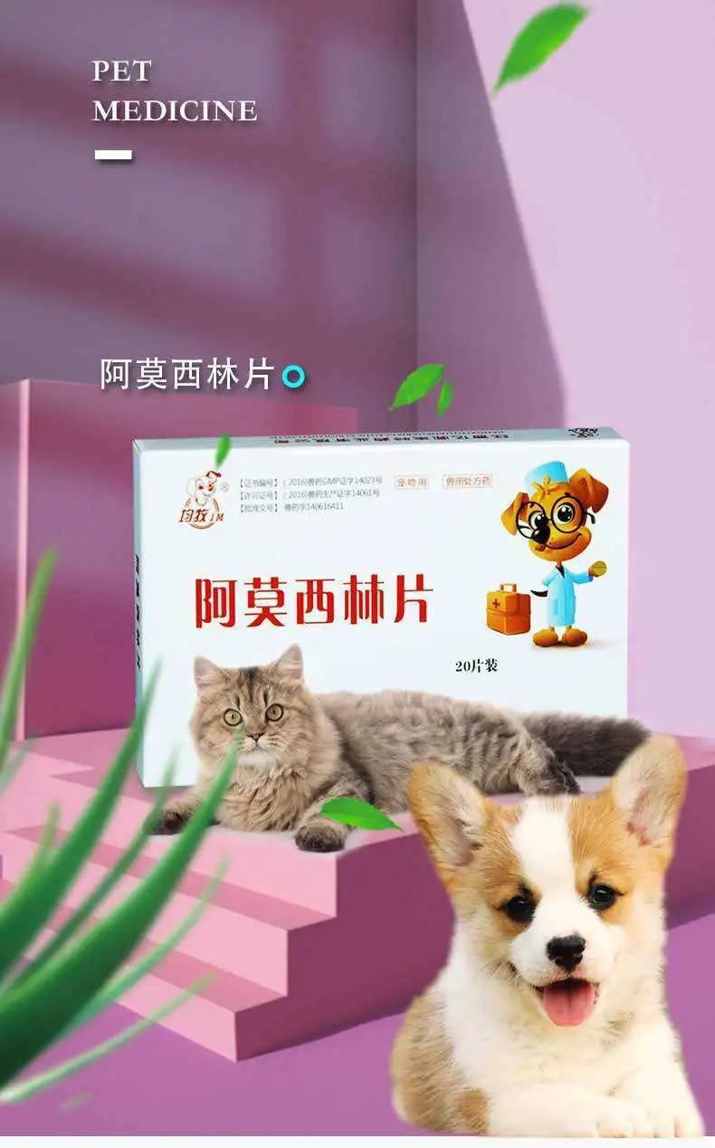 大狗狗感冒了吃什么药(狗狗感冒了吃什么药最好)