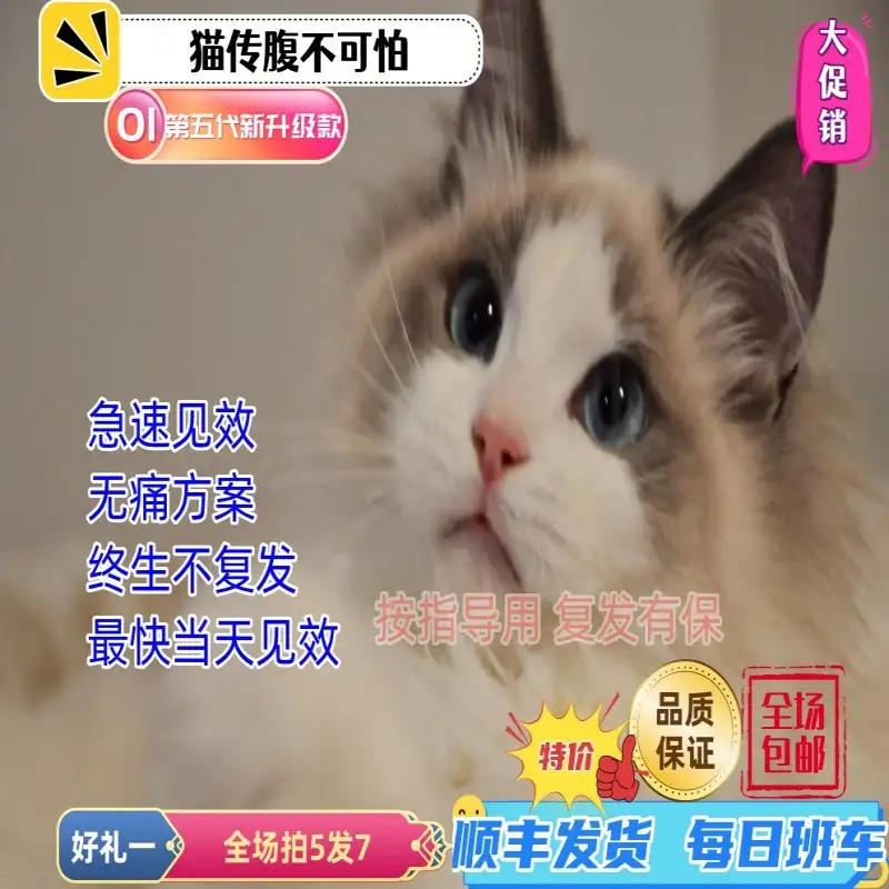 猫咪的得传腹(猫咪得传腹打441什么时候可以停针呢)