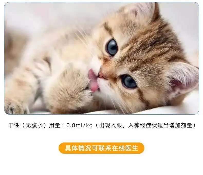 猫传腹消毒(猫传腹消毒用什么)