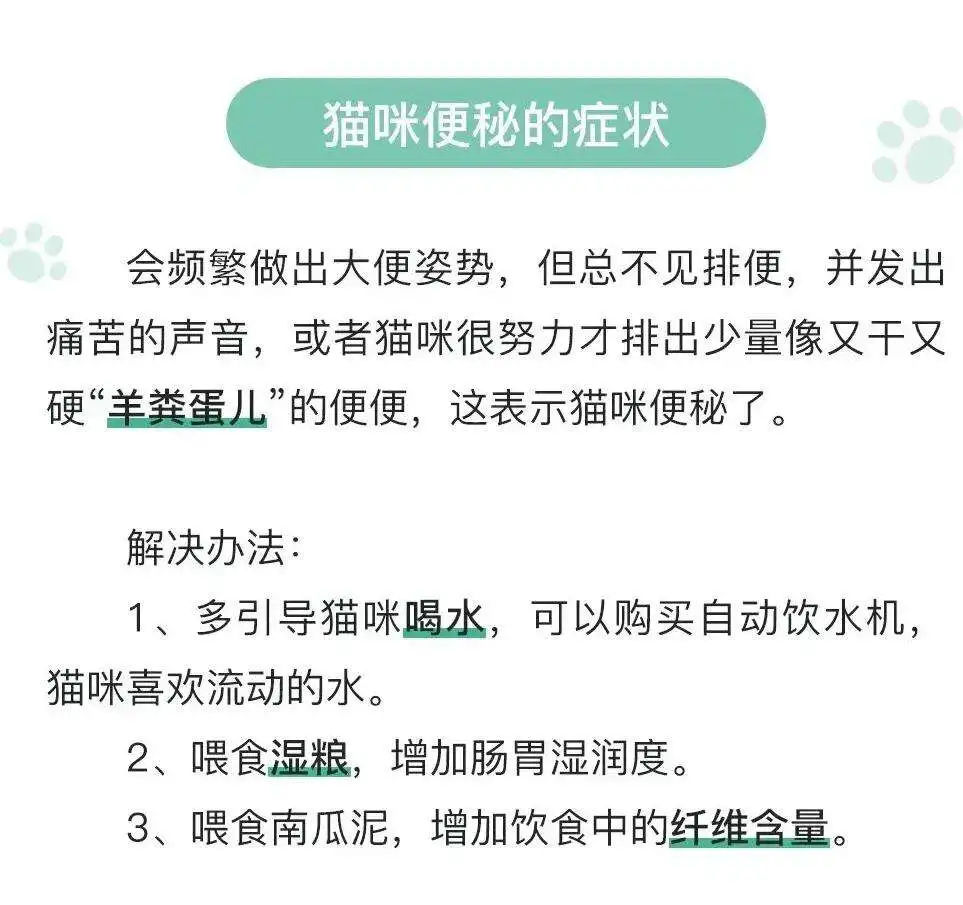 怎么判断猫便秘了(怎么判断猫是不是便秘了)