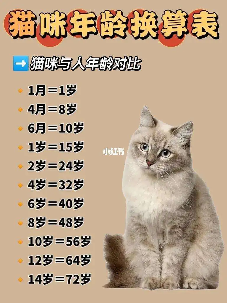 猫子寿命平均有几年(猫子寿命平均有几年呢)