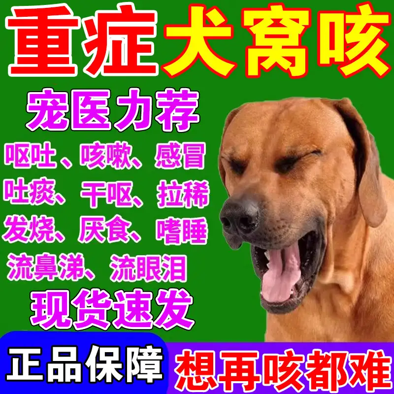 狗狗感冒发烧怎么治疗(狗狗感冒发烧治疗多少钱)