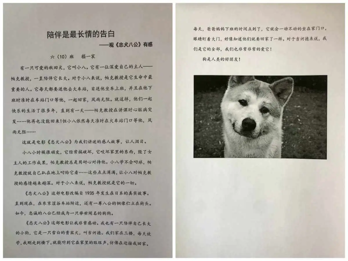 忠犬八公电影观后感600字(忠犬八公的电影观后感400字)