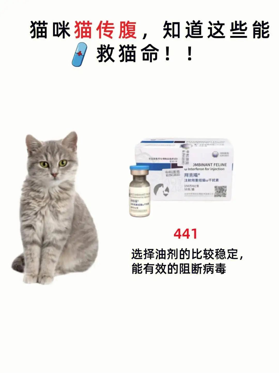 猫传腹441水剂(猫传腹441水剂到底有没有用)