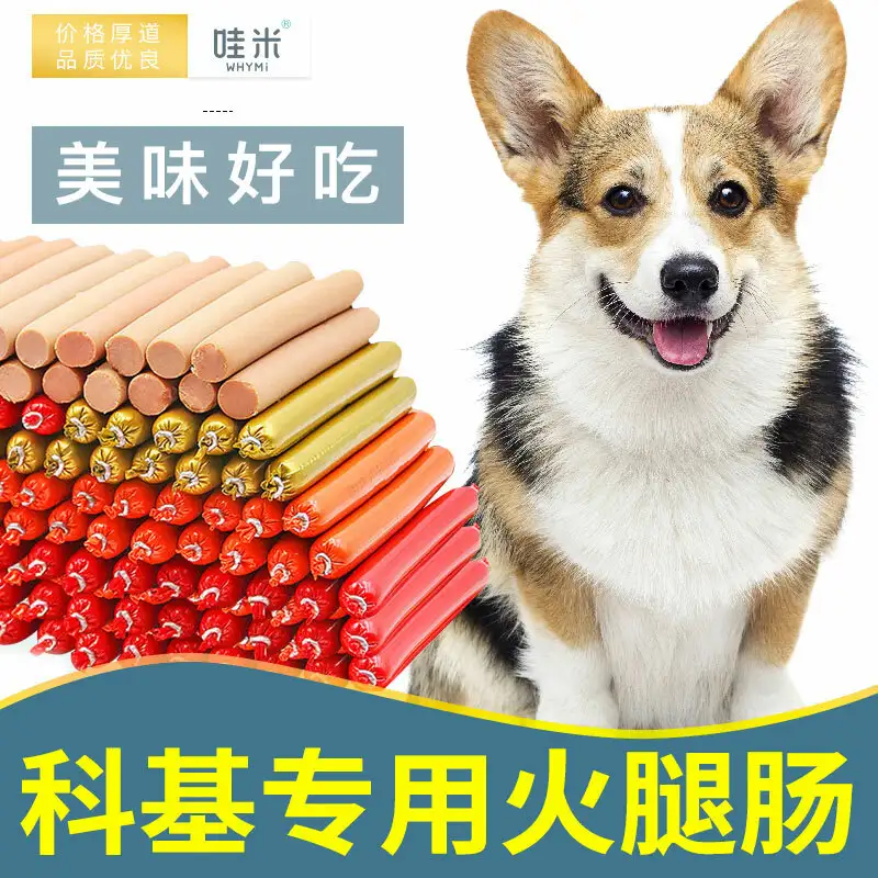 中型犬价格排名(中型犬品种大全 排名)