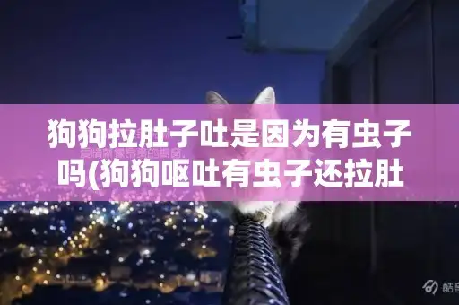 狗狗临死前又吐又拉是什么症状(狗狗临死前又吐又拉是什么症状表现)