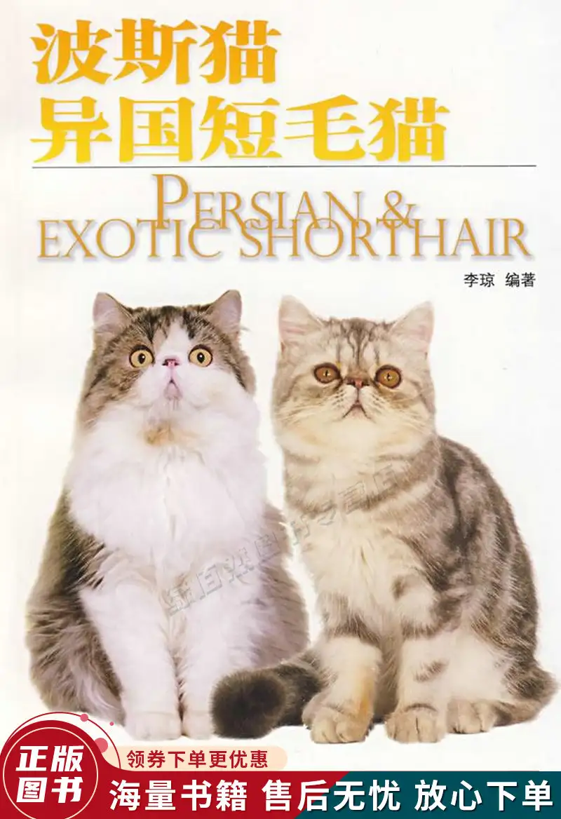 波斯短毛猫多少钱(波斯猫最便宜的一只要多少钱)