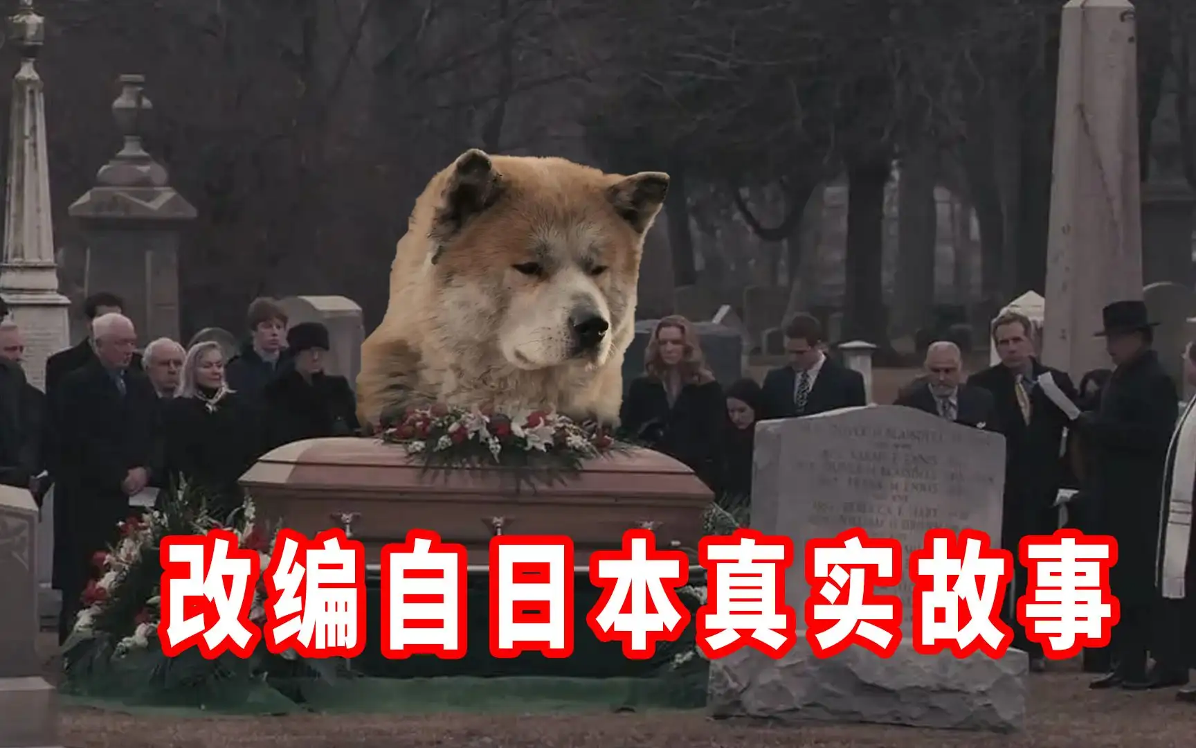 秋田忠犬八公(秋田犬的电影之忠犬八公)