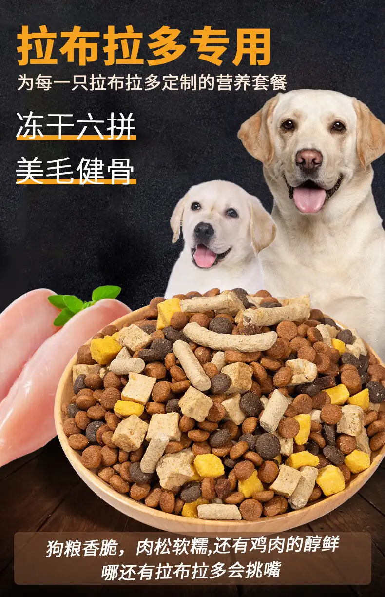 包含拉布拉多幼犬吃什么牌子狗粮的词条