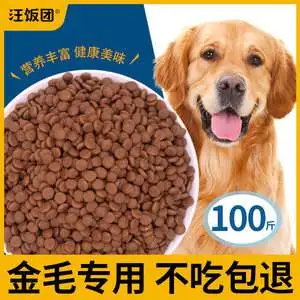 金毛幼犬一个月吃多少斤狗粮的简单介绍