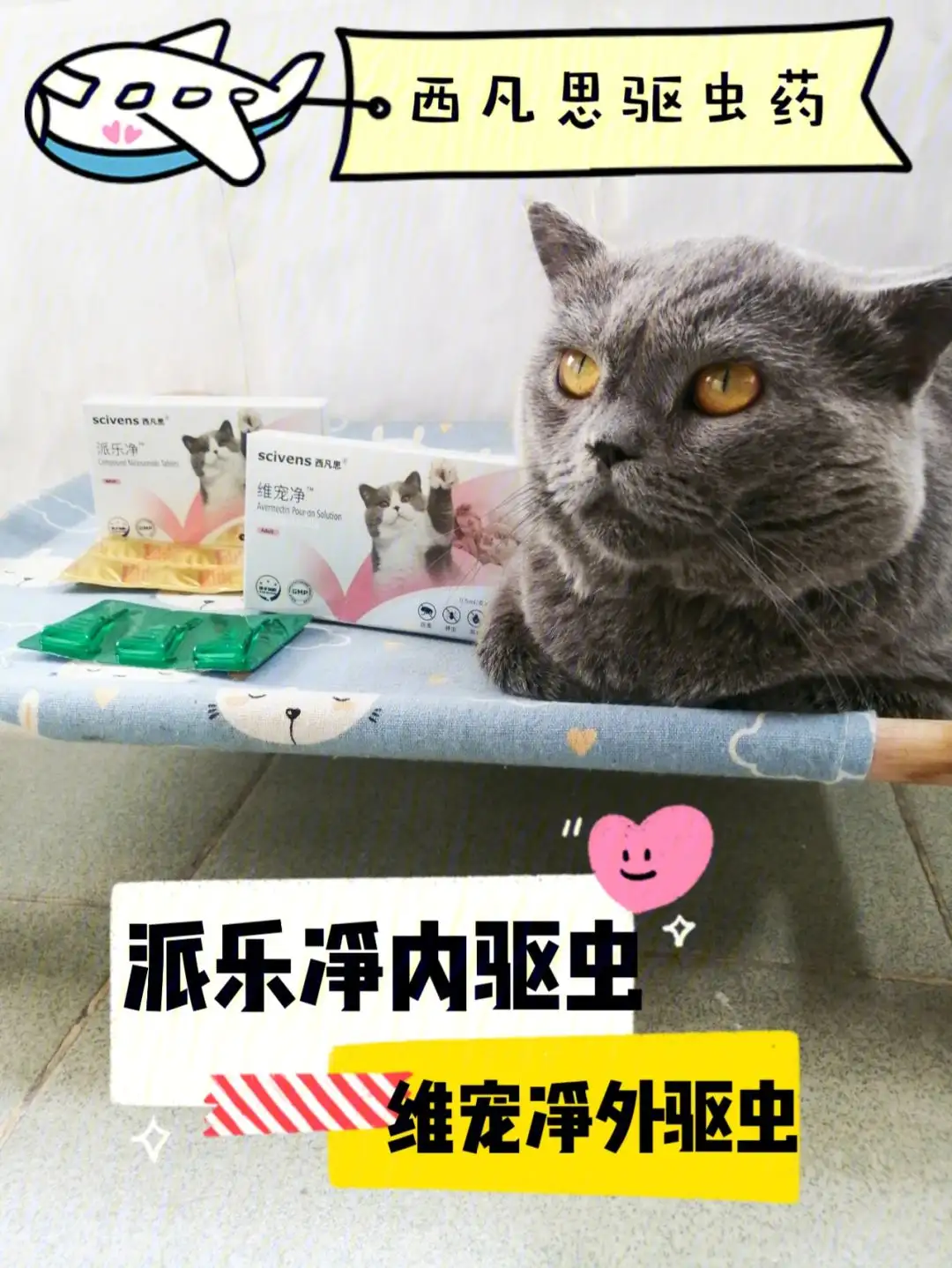 小猫咪体内驱虫(小猫咪体内驱虫吃什么药)