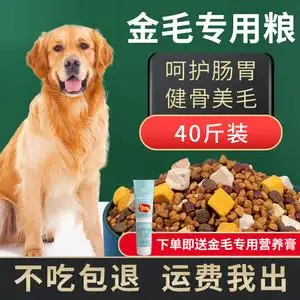 幼犬狗粮金毛(13个月幼犬食谱大全)