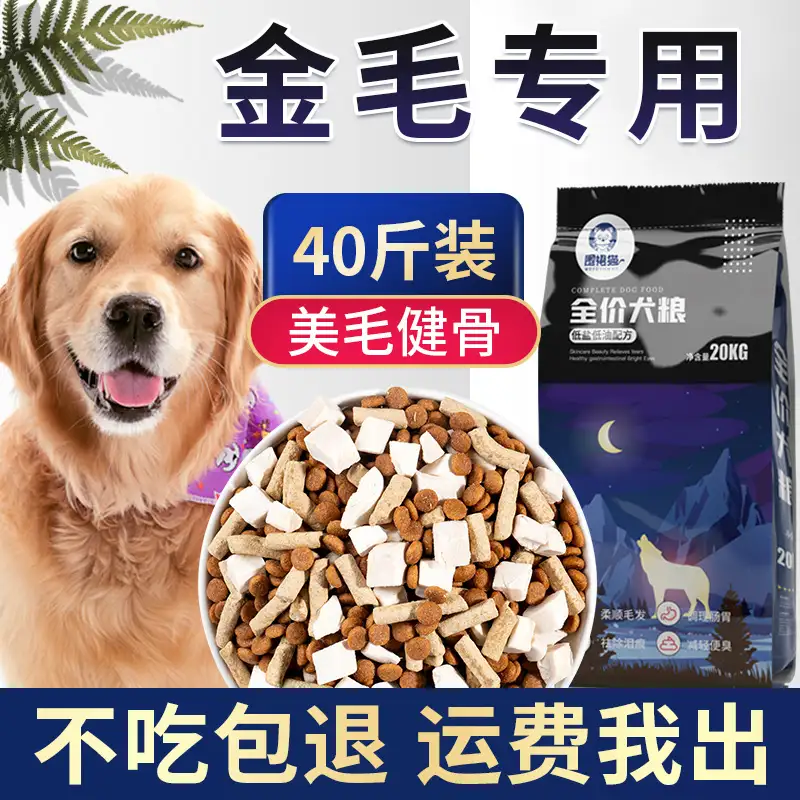 金毛幼犬一个月吃多少斤狗粮的简单介绍