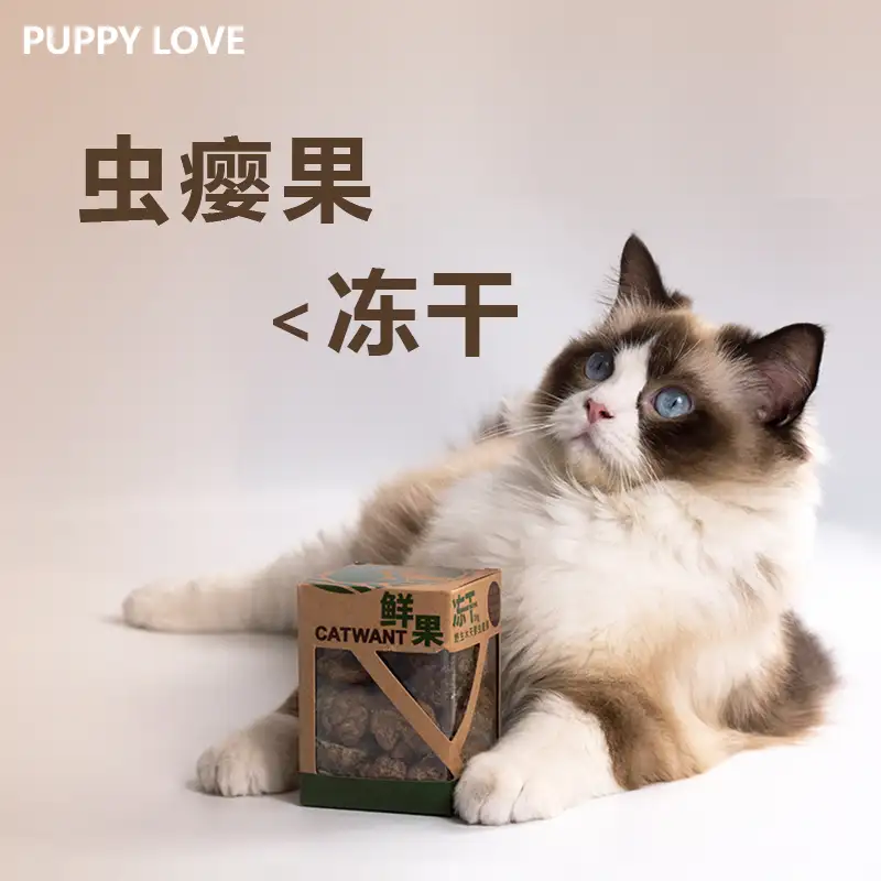 包含猫薄荷怎么给猫使用的词条