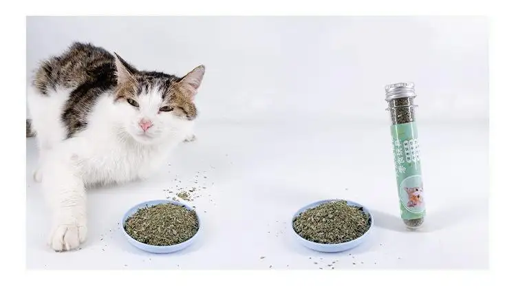 猫薄荷是怎么做的(猫薄荷怎么做成干的)