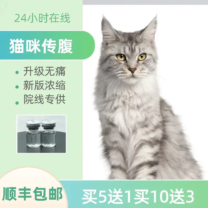 猫传腹好治疗吗(猫传腹治愈率高吗)