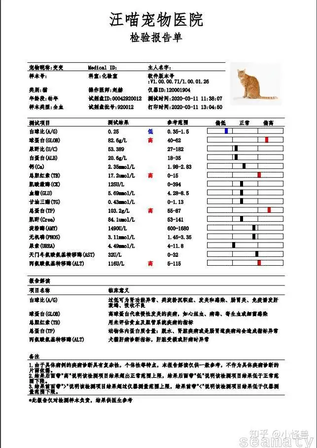 容易与猫传腹误诊的病(患有猫传腹的几率大不大)