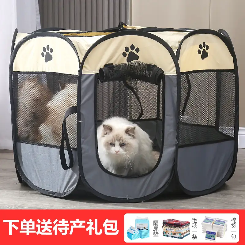 猫咪怀孕生产前要准备什么(猫咪怀孕生产前要准备什么东西)