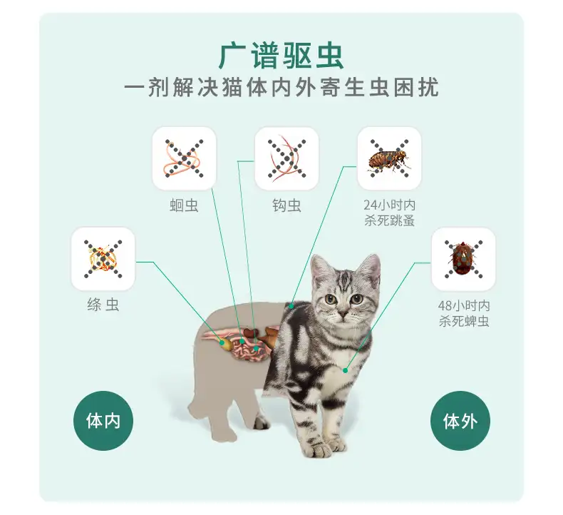 猫体内杀虫(猫咪杀虫剂中毒迹象)