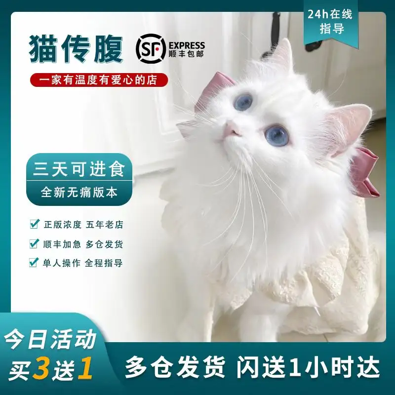 猫腹水跟猫传腹的区别(猫腹水和猫传腹会拉稀吗)