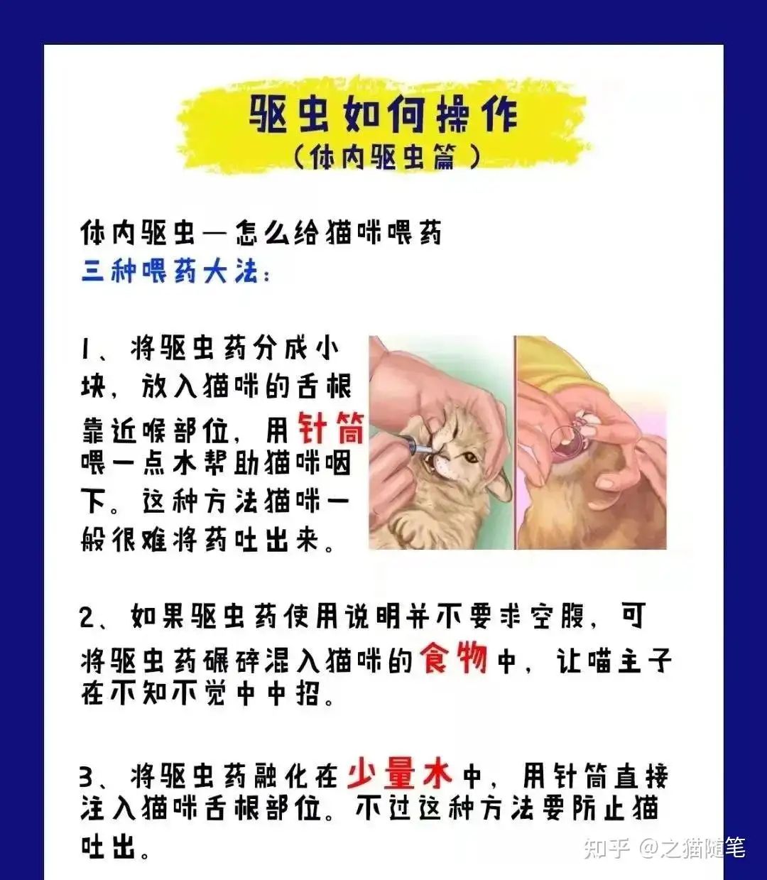 猫体内驱虫和体外驱虫可以一起吗(猫咪体内驱虫跟体外驱虫可以一起吗)