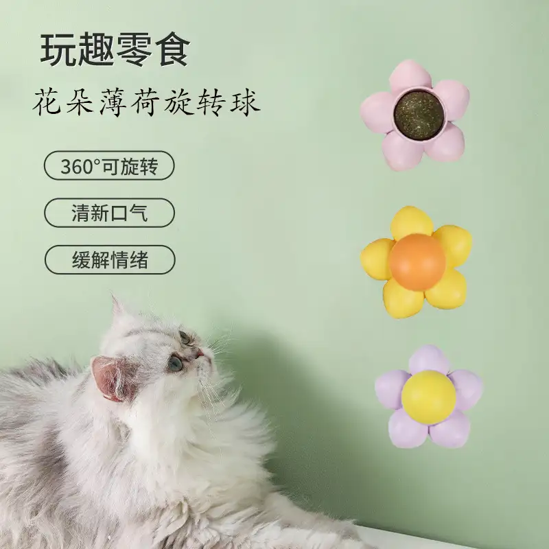 猫咪可以吃猫薄荷吗(猫咪吃猫薄荷吗会怎么样)