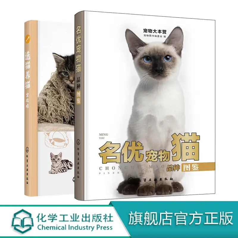 猫咪辨别品种(猫咪辨别品种图片)