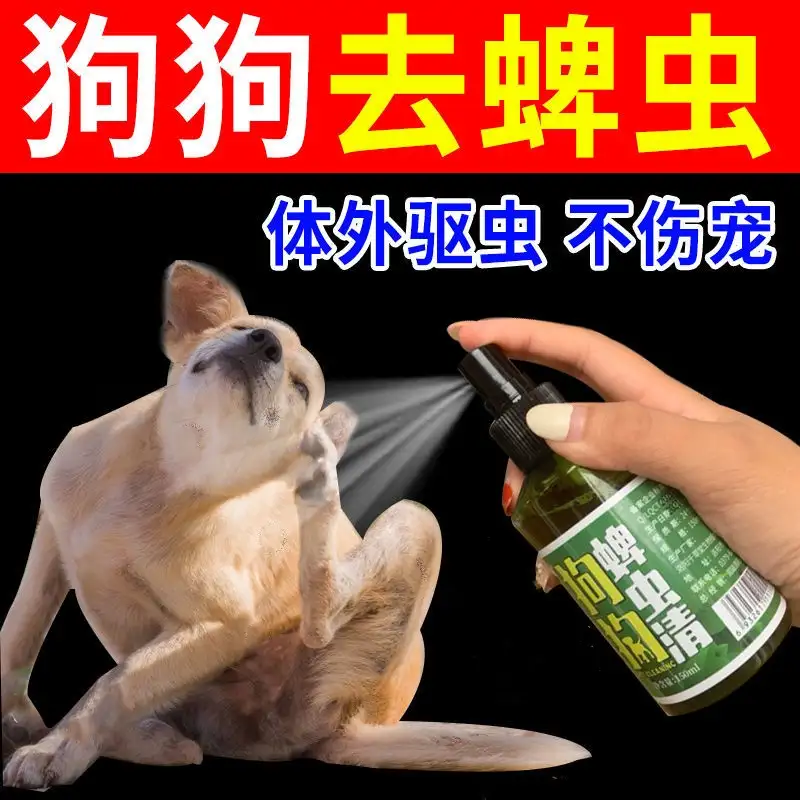 狗定期驱虫(狗定期驱虫时间)