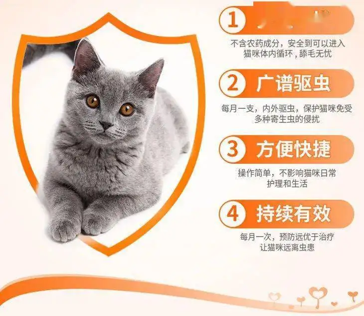 猫咪体外驱虫什么好(猫咪体外驱虫好久可以洗澡)