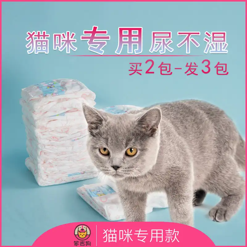 怀孕能亲猫吗(怀孕期间可以亲吗)