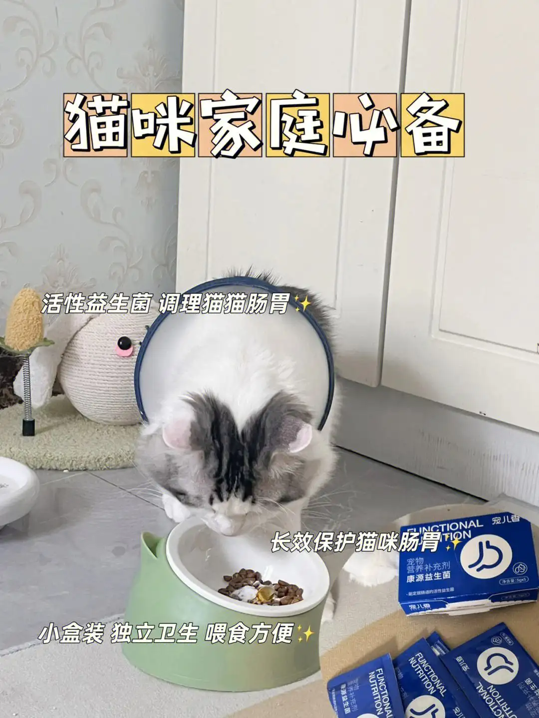 猫咪便秘症状(猫咪便秘症状图片)