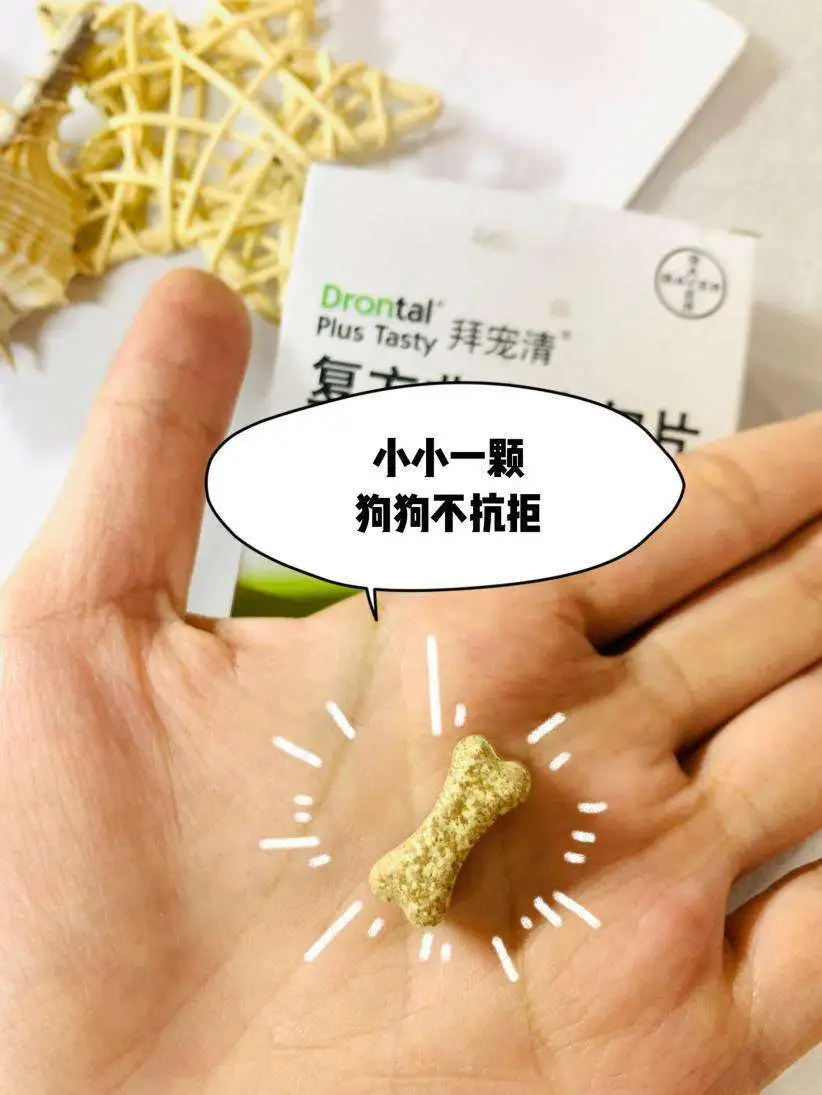 狗狗驱虫怎么用药(狗狗驱虫怎么用药膏)