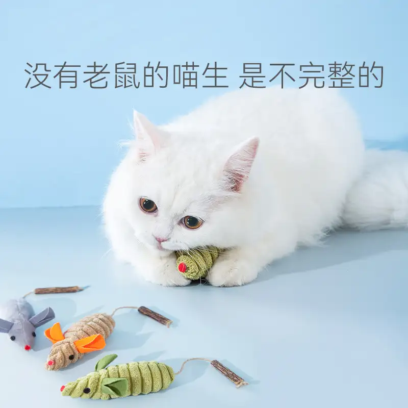 多大的猫对猫薄荷有反应(多大的猫才对猫薄荷有反应)