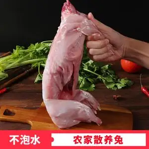 怀孕的人可以吃兔子肉吗(怀孕的时候能不能吃兔子肉)