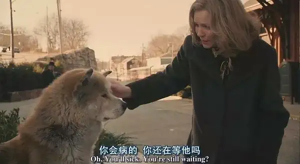 忠犬八公照片(忠犬八公照片中国版)