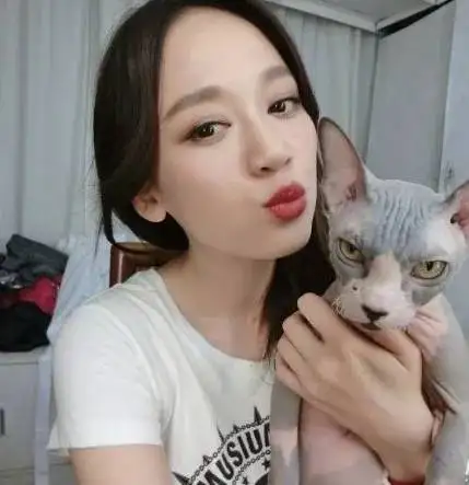 霍思燕家的猫是什么品种(霍思燕家的猫是什么品种的猫)