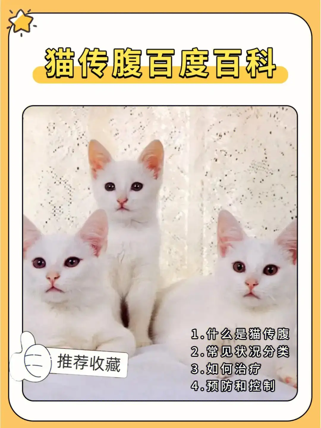 猫传腹传染吗?(猫传腹传染吗?它用过的东西会给别的猫用吗?)