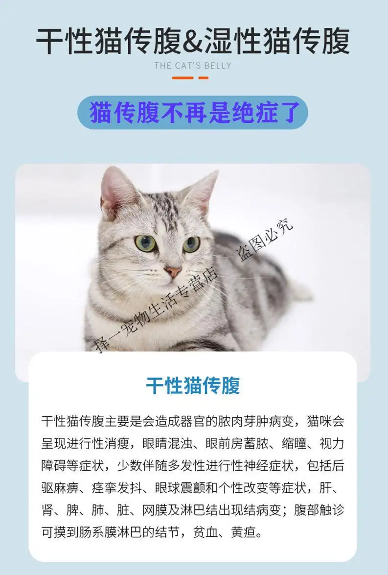 猫什么治传腹(治猫传腹最快的偏方)