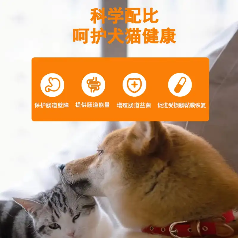 猫便秘怎么办快速排便(猫便秘怎么办快速排便方法)