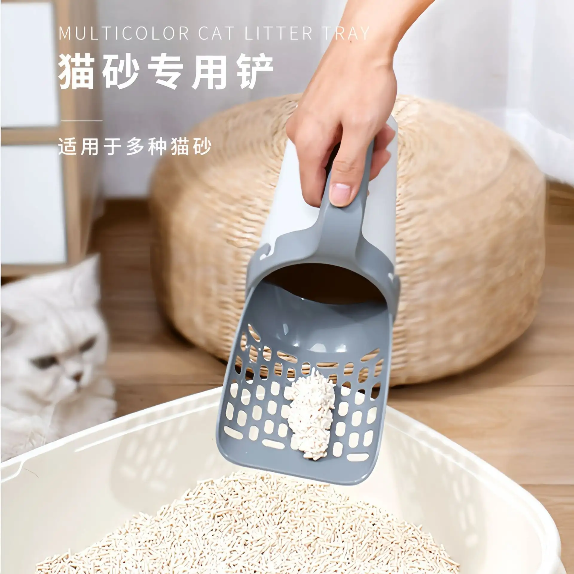 怎样帮助小猫排便(怎样帮助小猫排便快)