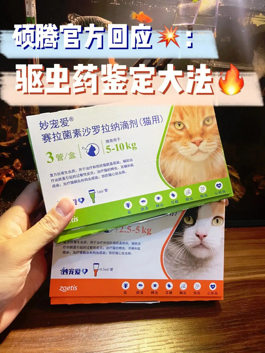 猫咪驱虫用什么牌子(猫咪驱虫用什么牌子的药好)