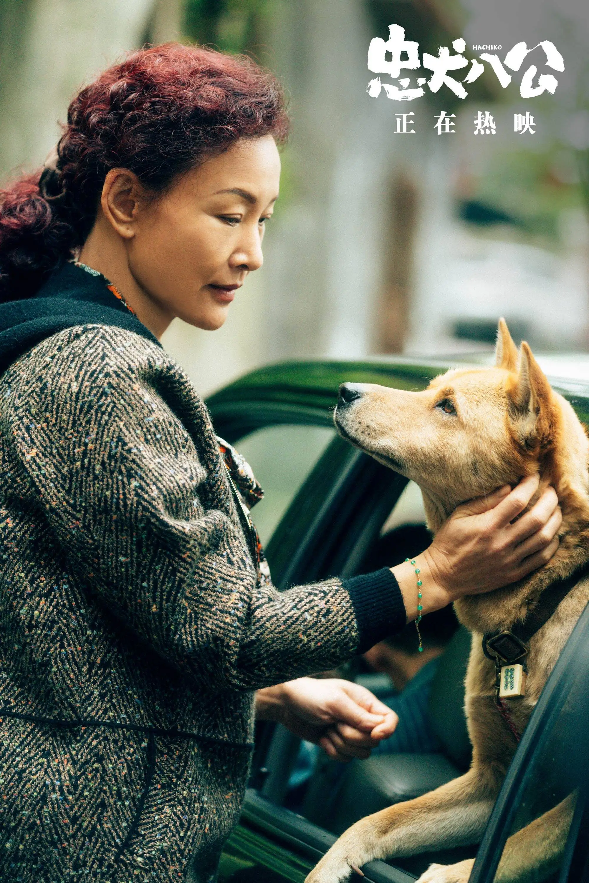 忠犬八公的图片(忠犬八公的图片分析)